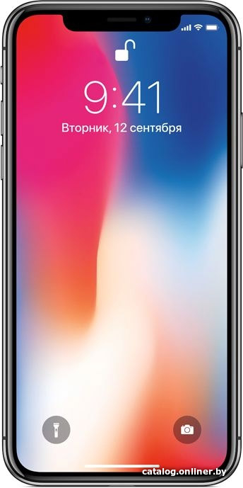 Замена стекла экрана Apple iPhone X